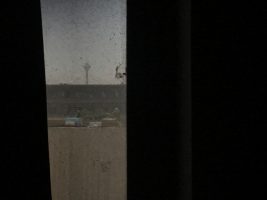 امیرحسین بسطامی - تک‌عکس